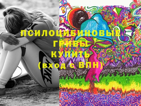 ECSTASY Богородицк